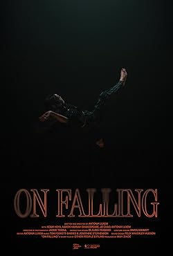 Poster of On Falling