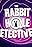 The Rabbit Hole Detectives
