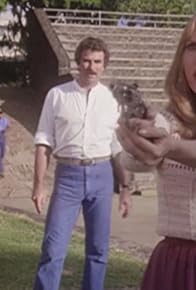 Primary photo for Italian Ice