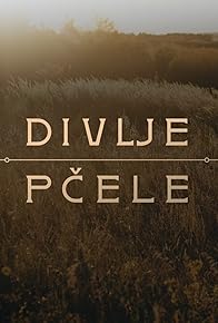 Primary photo for Divlje pcele Primary photo for Divlje pcele