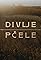 Divlje pcele's primary photo