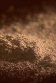 Primary photo for The Anthrax Files