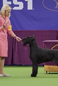 Primary photo for Westminster Dog Show Primary photo for Westminster Dog Show
