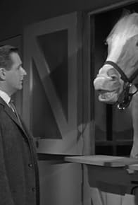 Primary photo for Clint Eastwood Meets Mister Ed Primary photo for Clint Eastwood Meets Mister Ed