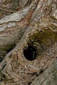 Primary photo for Hole of Horror