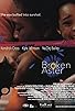 Primary photo for Broken Aster Primary photo for Broken Aster