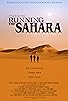 Primary photo for Running the Sahara Primary photo for Running the Sahara