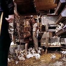 पोस्टर देखें