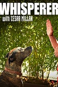 Primary photo for Maxwell, Brooklyn and Tipper