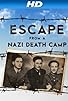 Primary photo for Escape from a Nazi Death Camp Primary photo for Escape from a Nazi Death Camp