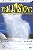 Primary photo for Yellowstone