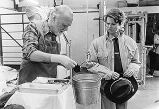 पोस्टर देखें