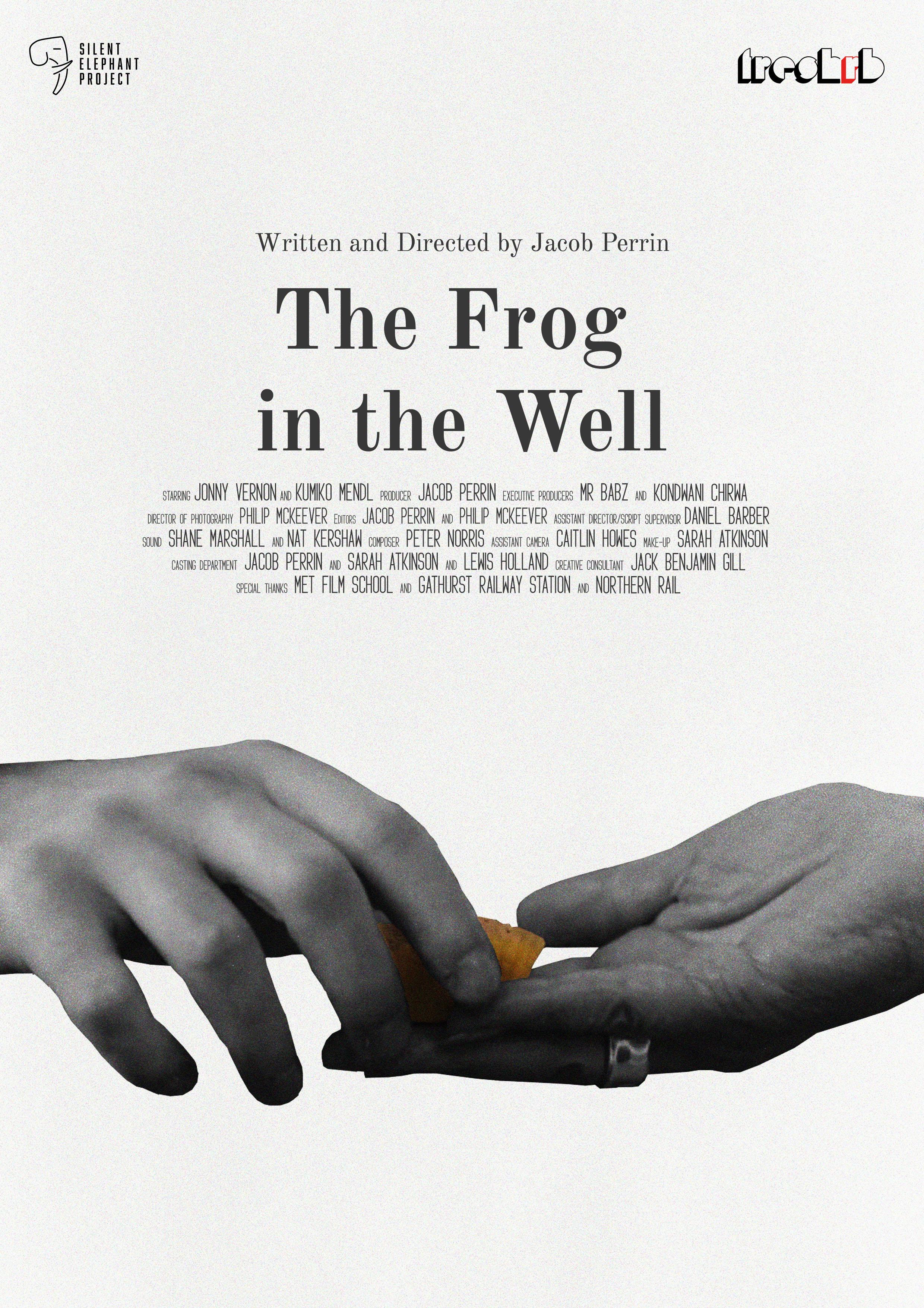 The Frog in the Well