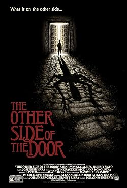 Poster of The Other Side of the Door