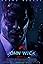 John Wick: Chapter 2