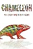 Primary photo for Chameleon Primary photo for Chameleon