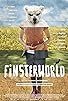 Primary photo for Finsterworld Primary photo for Finsterworld