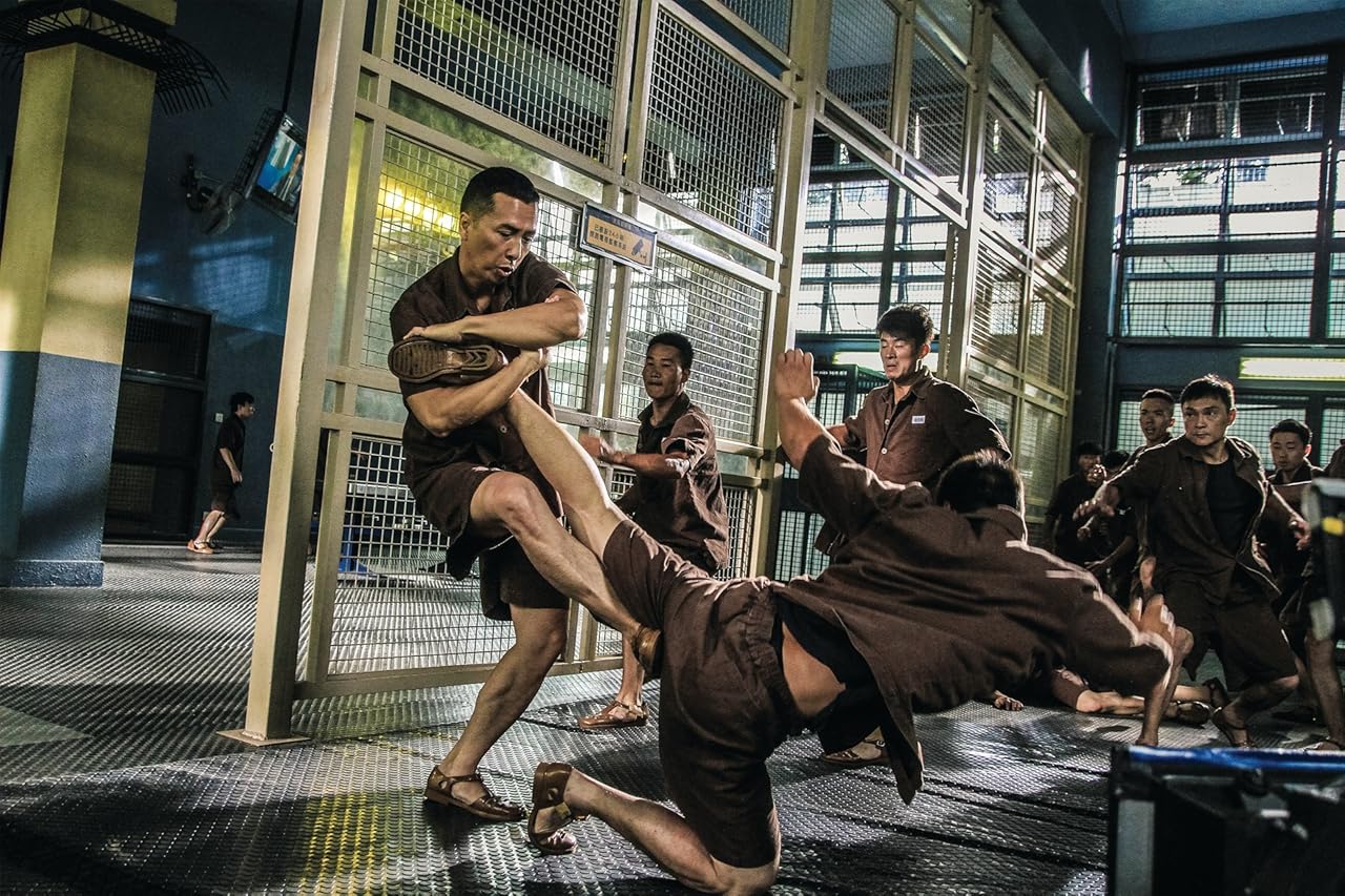 Kung Fu Jungle (2014)