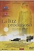 Primary photo for La luz prodigiosa Primary photo for La luz prodigiosa