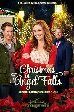 Poster of Christmas in Angel Falls