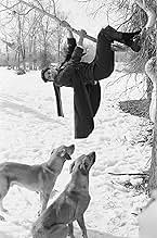 पोस्टर देखें