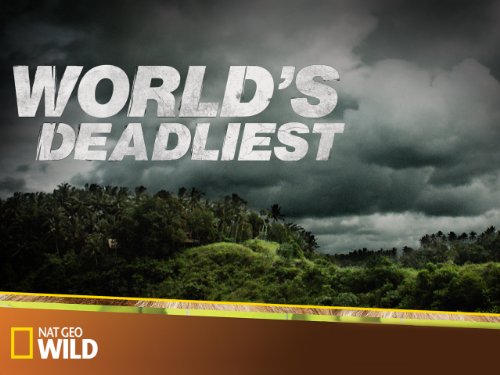 Poster of World's Deadliest