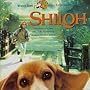 1996 Shiloh