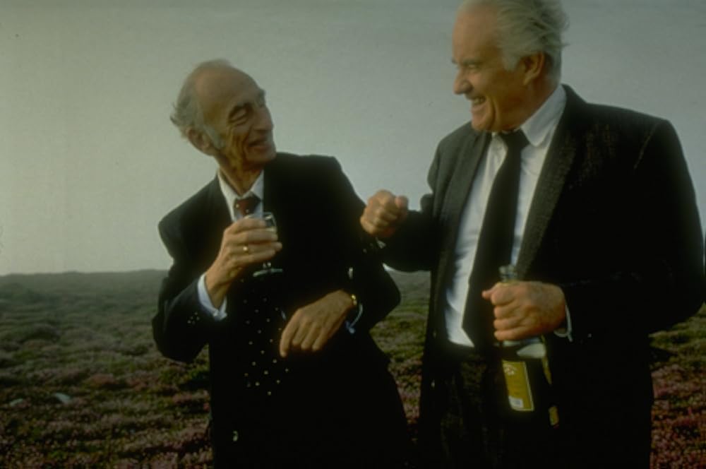 Waking Ned Devine (1998)