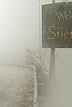 Radha Mitchell in Silent Hill (2006)