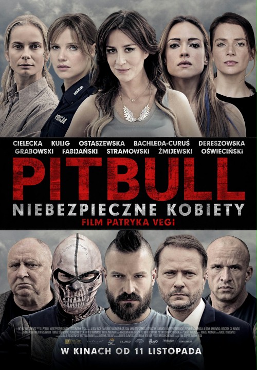 Poster of Pitbull: Tough Women