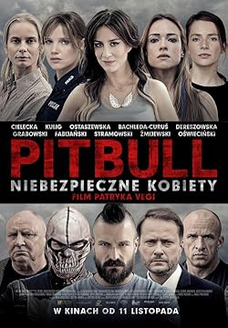 Poster of Pitbull: Tough Women
