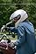 Motorcycle Mamas's primary photo