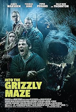 Poster of Into the Grizzly Maze