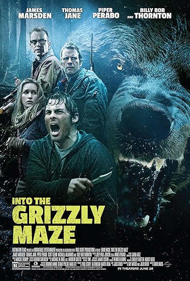 Primary photo for Into the Grizzly Maze Primary photo for Into the Grizzly Maze