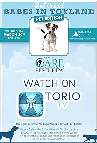 Primary photo for 2nd Annual Babes in Toyland Pet Edition