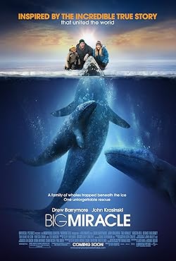 Poster of Big Miracle