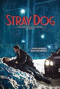 Primary photo for Stray Dog