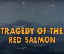 पोस्टर देखें