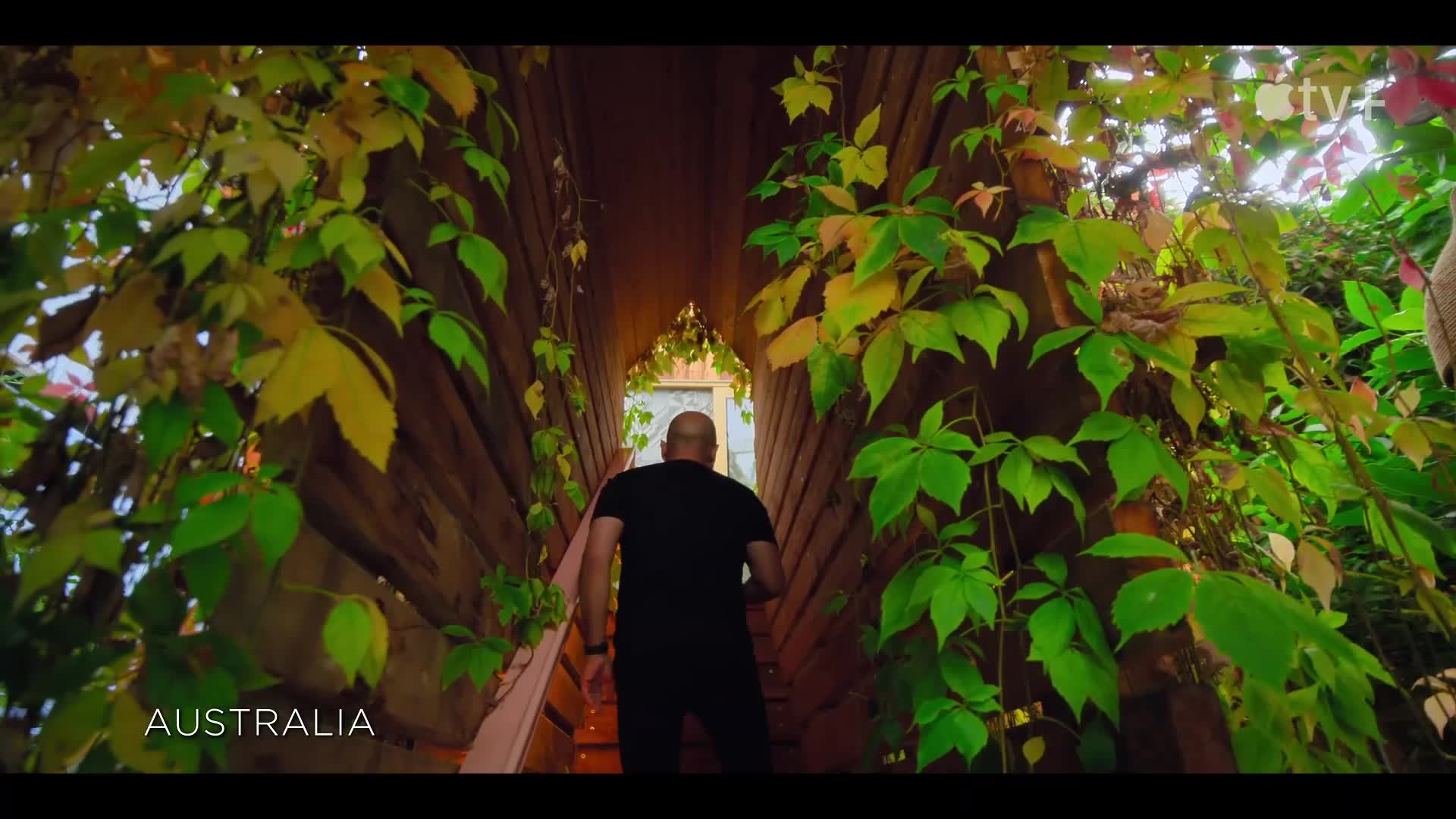 Season 2 Official Trailer