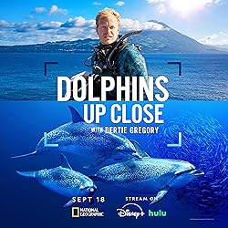 Poster of Dolphins Up Close with Bertie Gregory