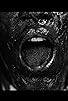 Primary photo for Black Snow - The Apocalypse Primary photo for Black Snow - The Apocalypse