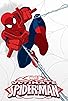 Primary photo for Ultimate Spider-Man Primary photo for Ultimate Spider-Man