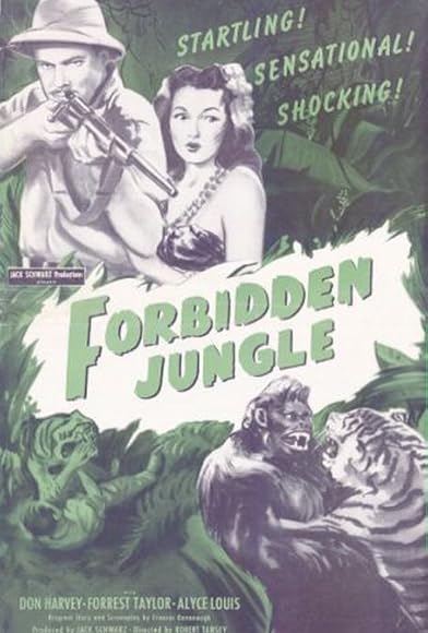 Primary photo for Forbidden Jungle Primary photo for Forbidden Jungle