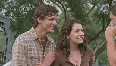 पोस्टर देखें