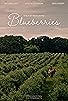 Primary photo for Blueberries