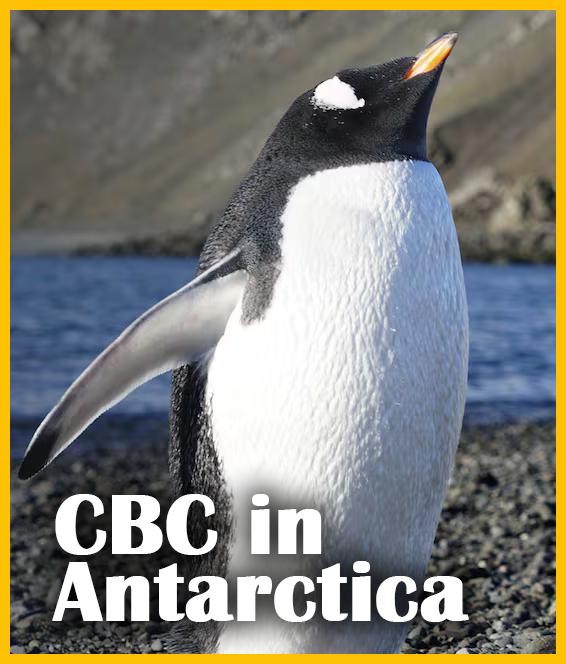 CBC in Antarctica