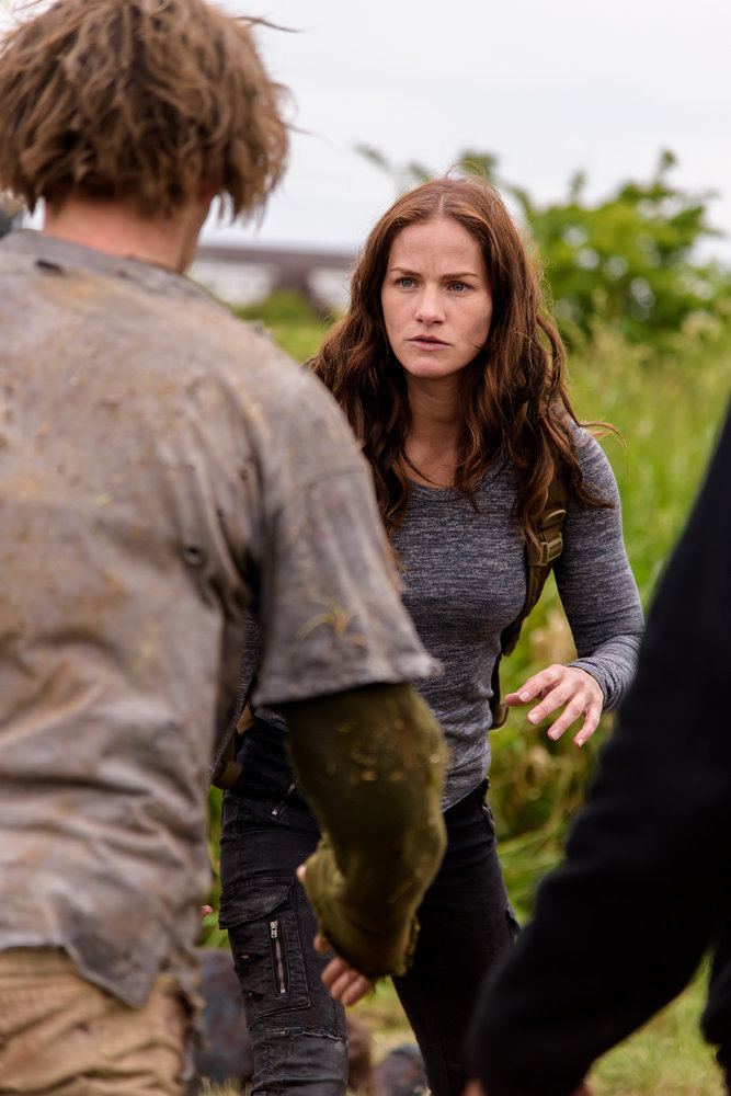 It uslubi va mushuk ichida