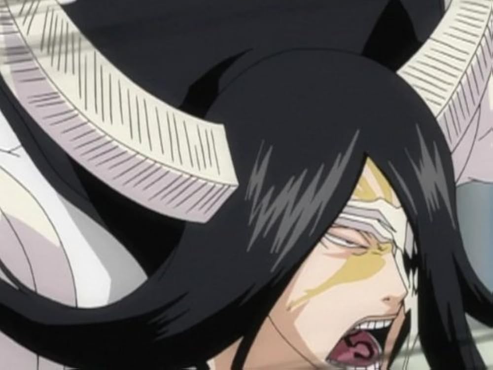 "Bleach" Karakura Town Gathers! Aizen Versus the Soul Reapers (TV