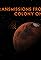 Transmissions from Colony One's primary photo