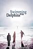 Primary photo for Swimming with Dolphins